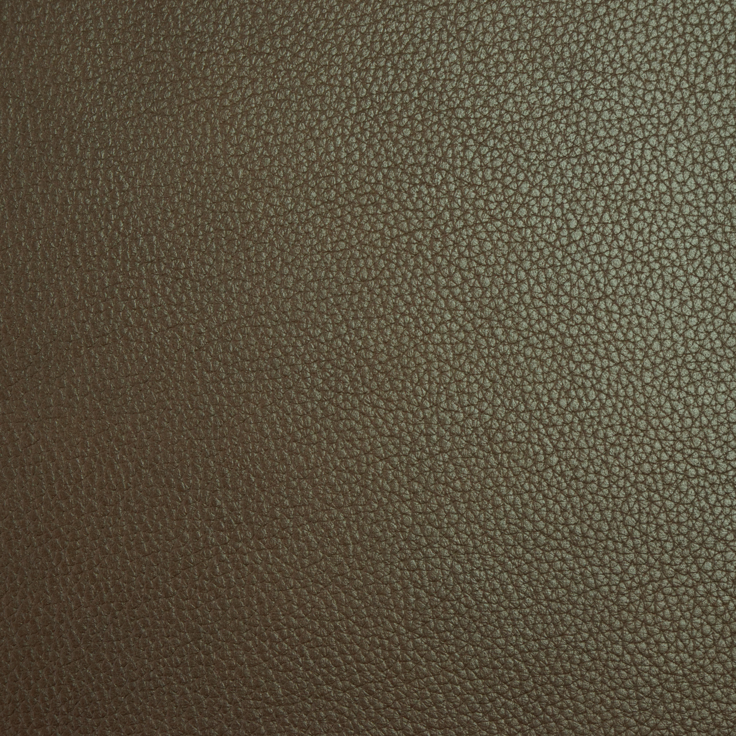 Capris Oak Icon