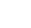 Standard Icon
